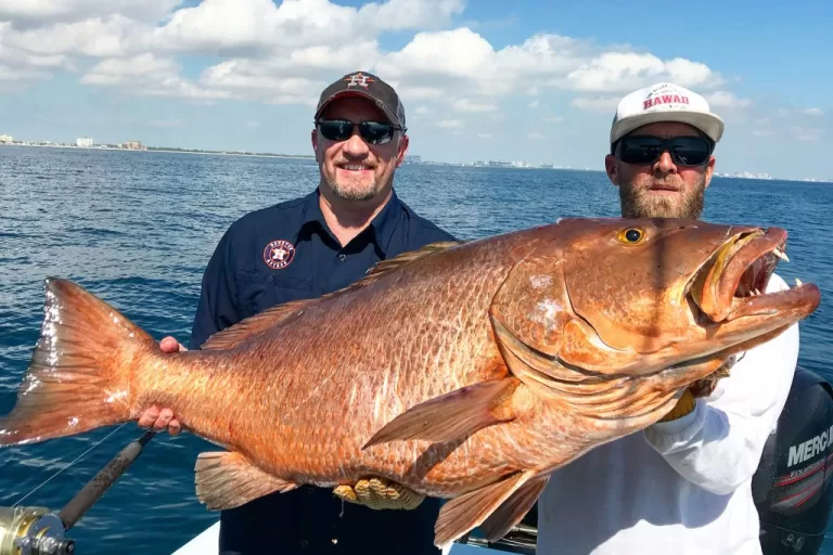 Fort-Lauderdale-Snappers-1024x683